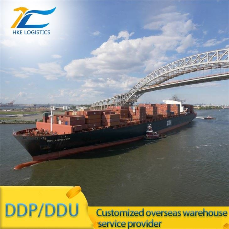 Ddp Sea Shipping de China a EE. UU. Logística de Amazon